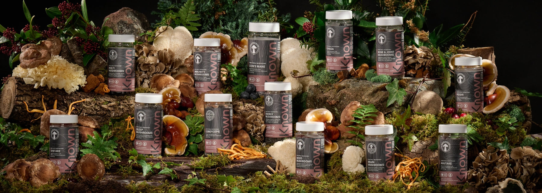 Meet The New Mushroom Range by Known Nutrition