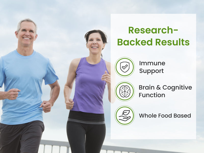 Dr Mercola Multivitamin Dr Mercola WholeFood Multivitamin Plus | 240 Tablets