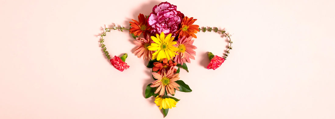 Navigating the Waves of Change: Menopause Support Supplements