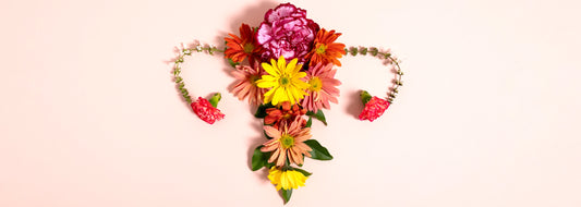 Navigating the Waves of Change: Menopause Support Supplements