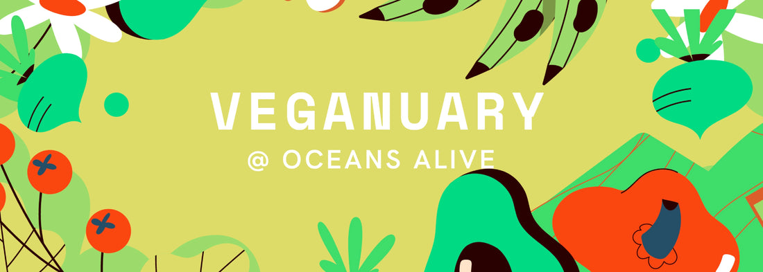 Veganuary Made Easy: Supercharge Your Vegan Diet with these Must-Have Supplements