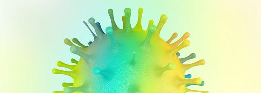 Update on Coronavirus Impact