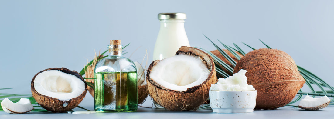 What is MCT Powder and What are the Benefits?