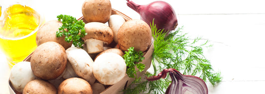 Discover the Magic of Mushrooms