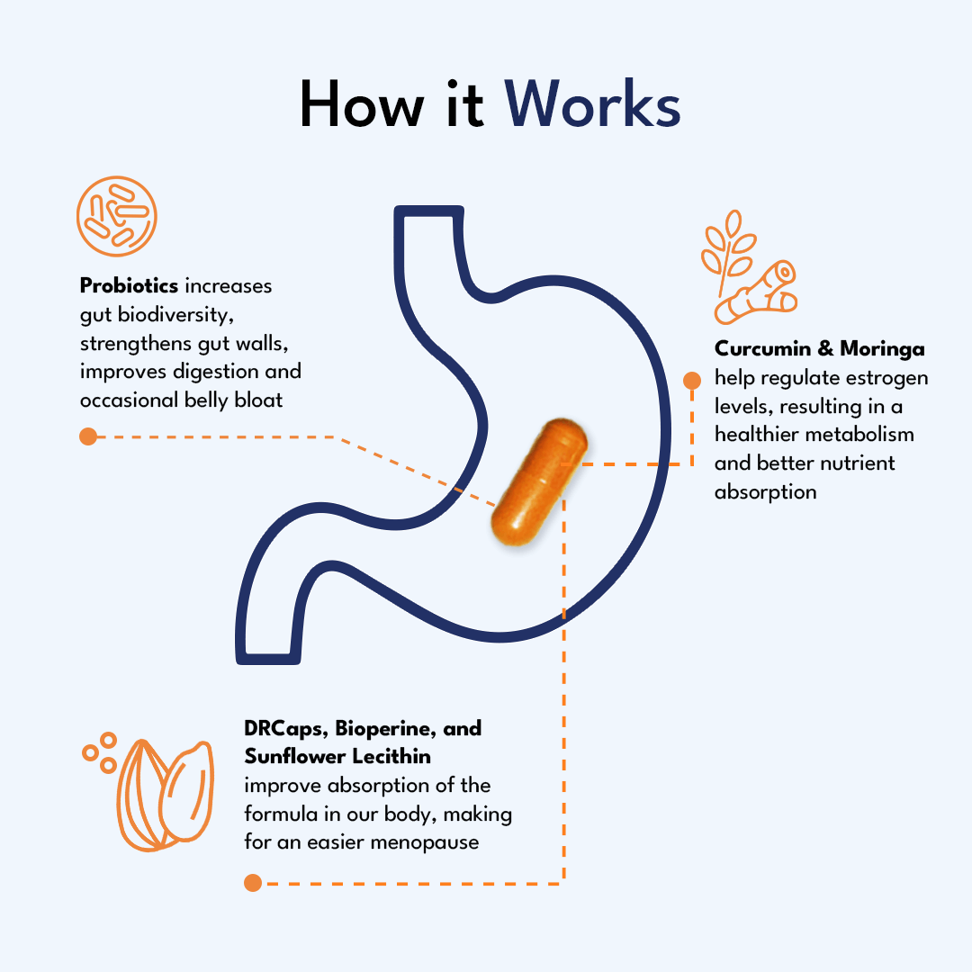 Better Body Co. Better Body Co. Provitalize Probiotics | 60 Capsules