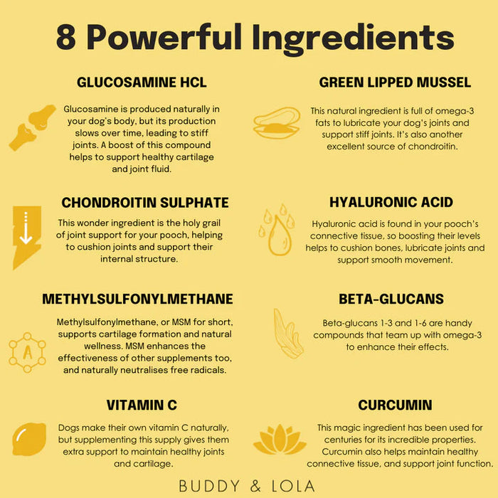 Buddy and lola 2024 multivitamin