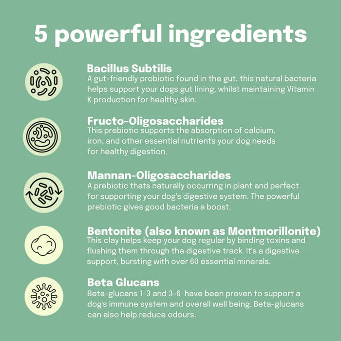 Buddy and lola 2024 multivitamin