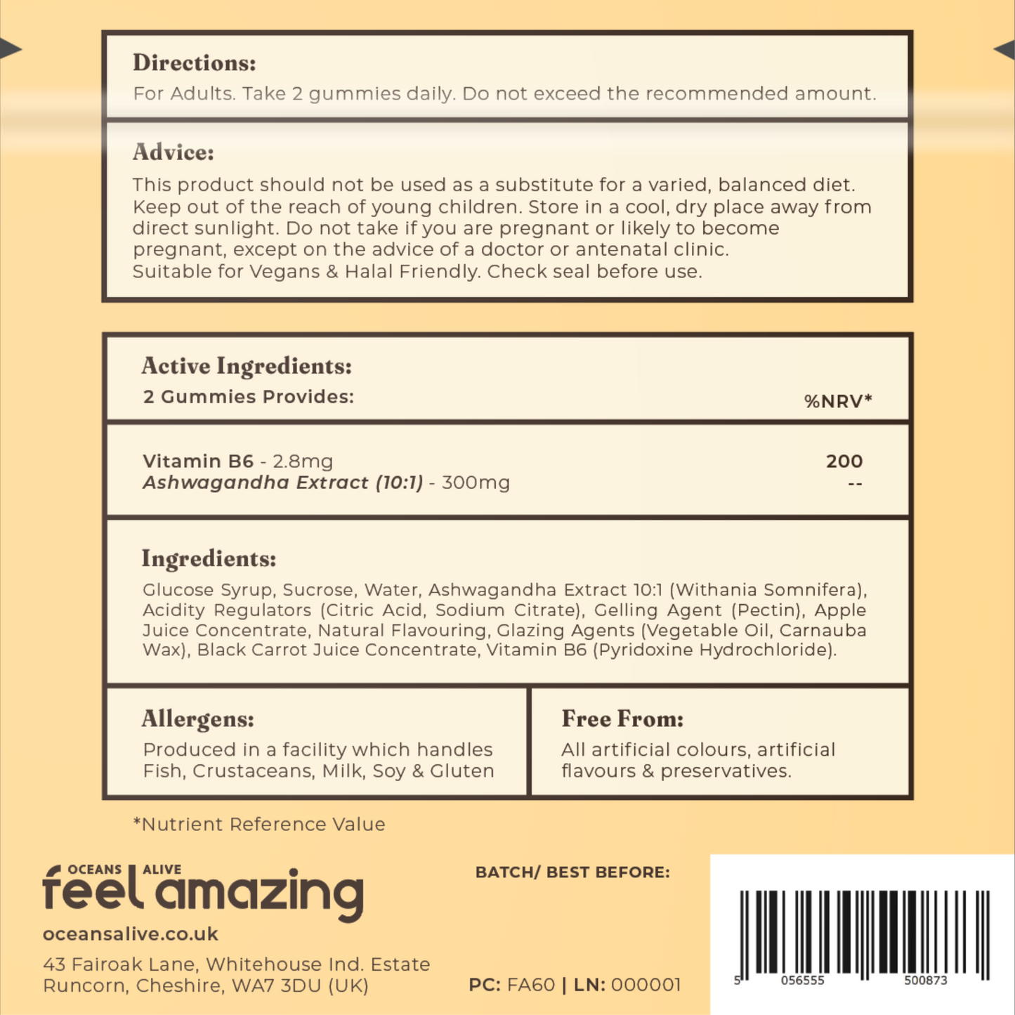Feel Amazing Feel Amazing Ashwagandha | 60 Gummies | Pouch