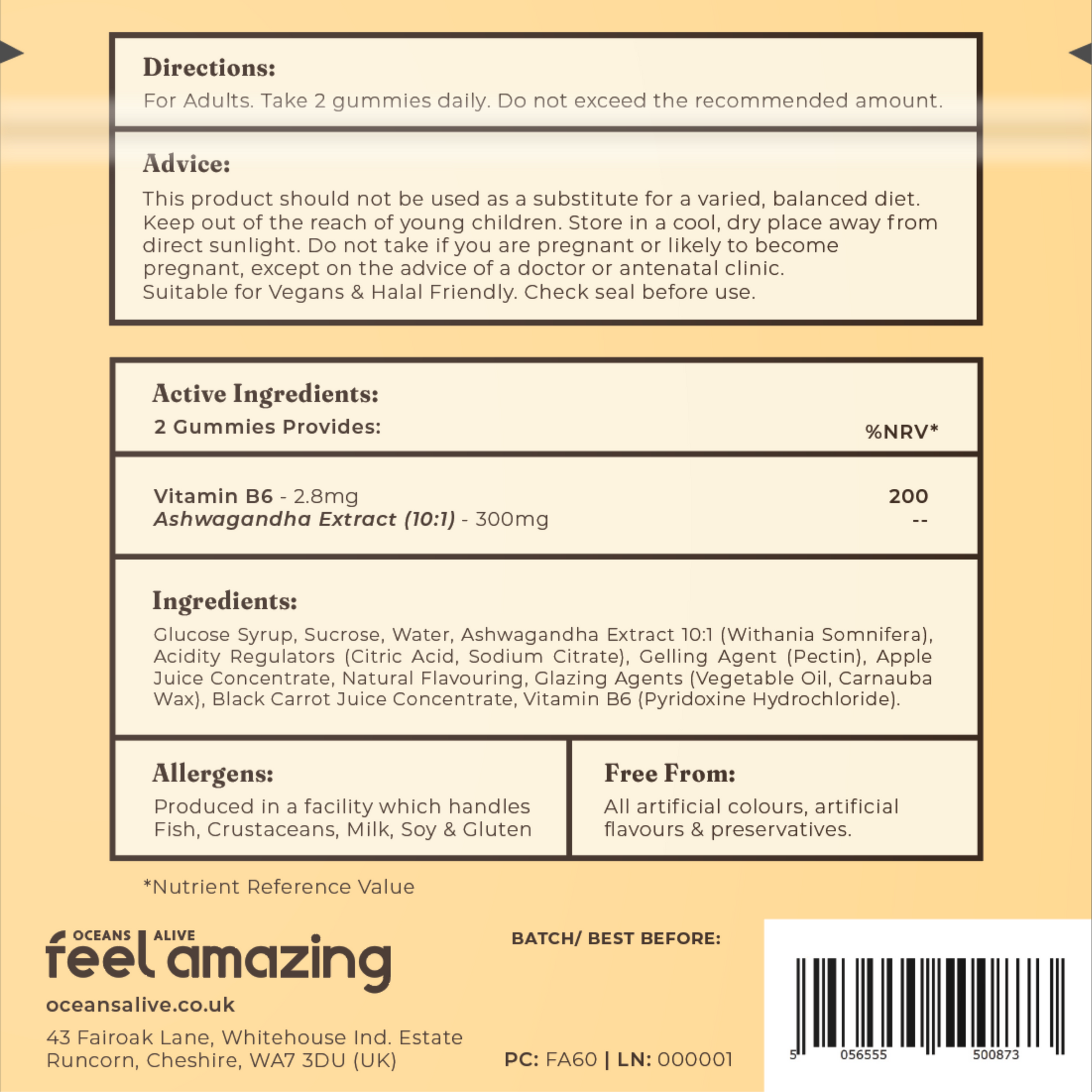 Feel Amazing Feel Amazing Ashwagandha | 60 Gummies | Pouch