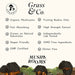 Grass & Co Mushrooms Mushrooms Grass & Co. BIOME Chaga Mushrooms with Curcumin + Ginger | 60 Vegan Capsules