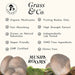Grass & Co Mushrooms Mushrooms Grass & Co. FOCUS Lion's Mane Mushrooms with Ginseng + Omega-3 | 60 Vegan Capsules
