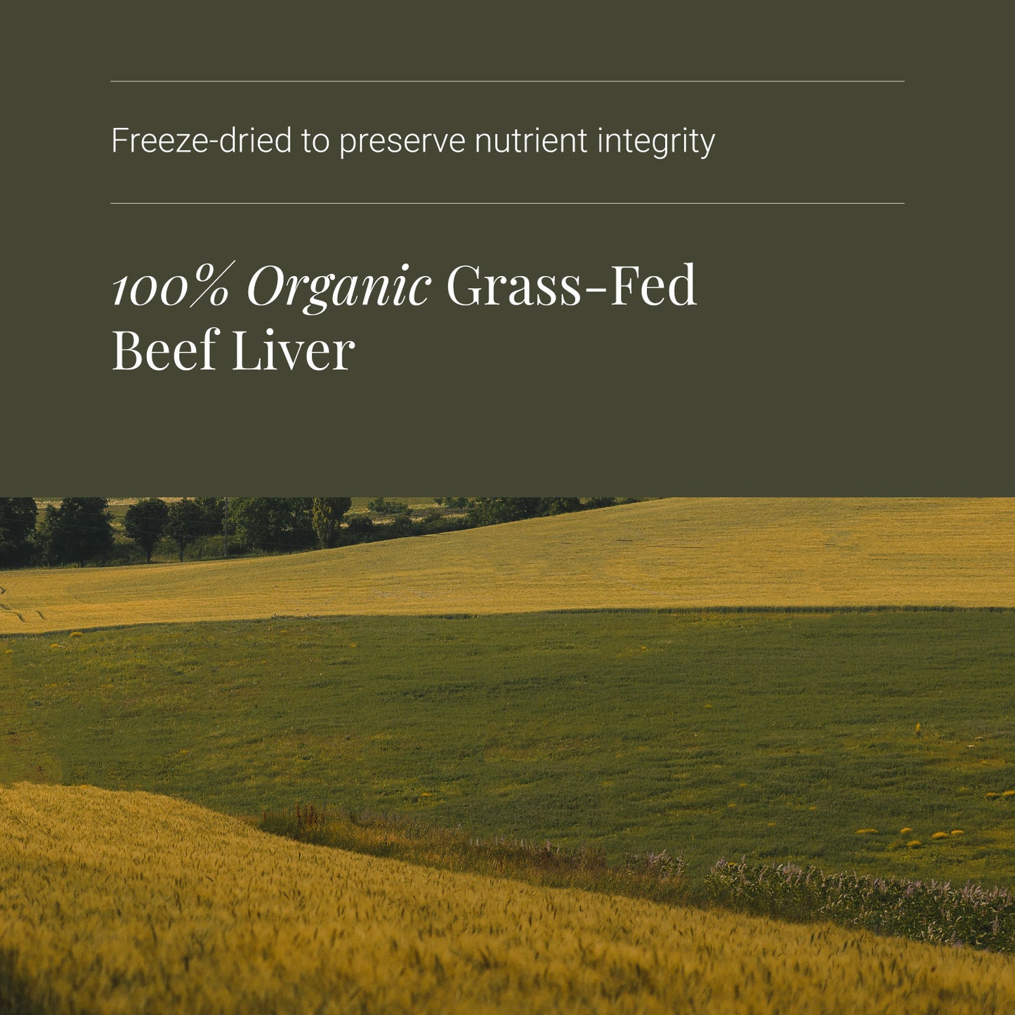 Kiki Health KIKI Health Organic Beef Liver | 180 Capsules