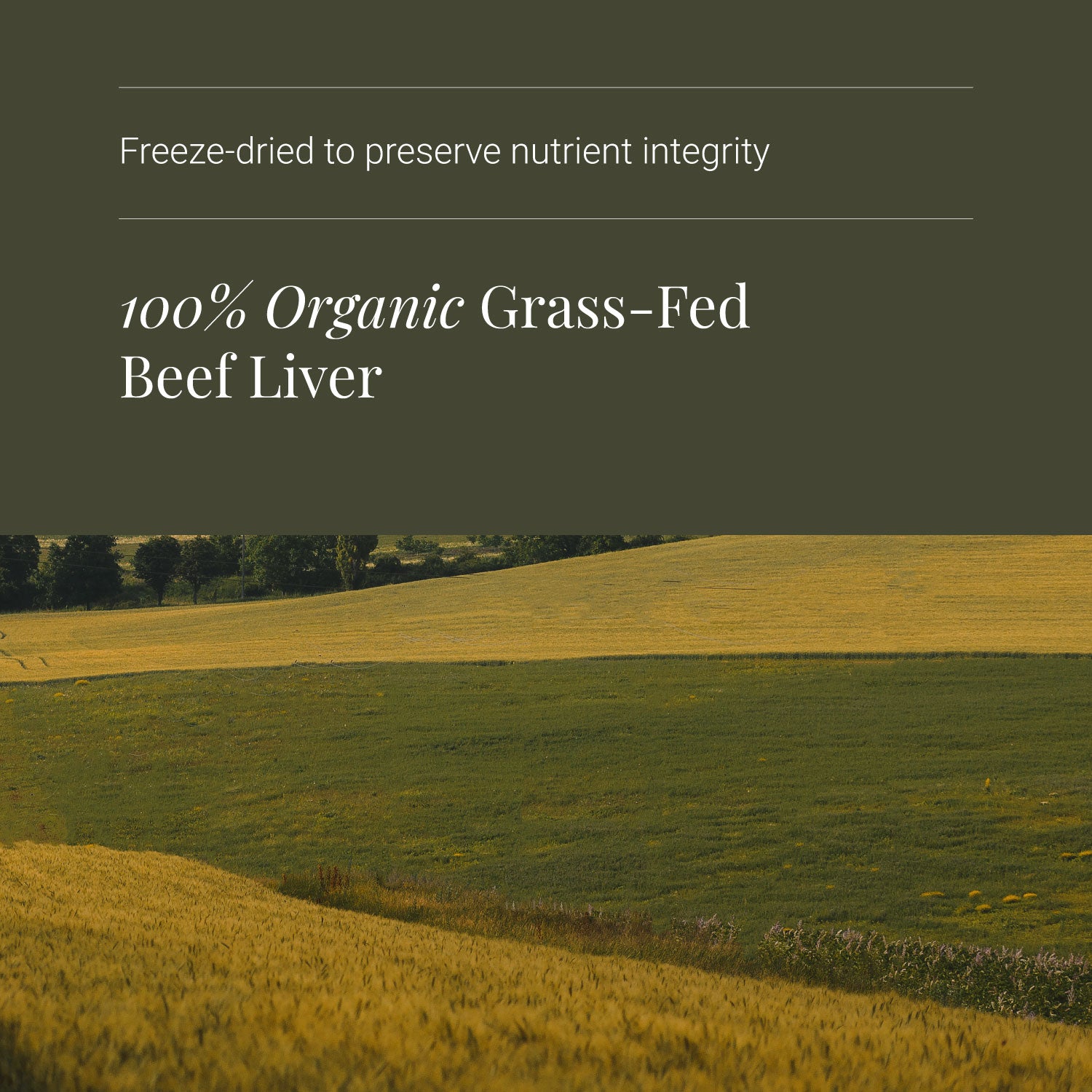 Kiki Health KIKI Health Organic Beef Liver | 180 Capsules