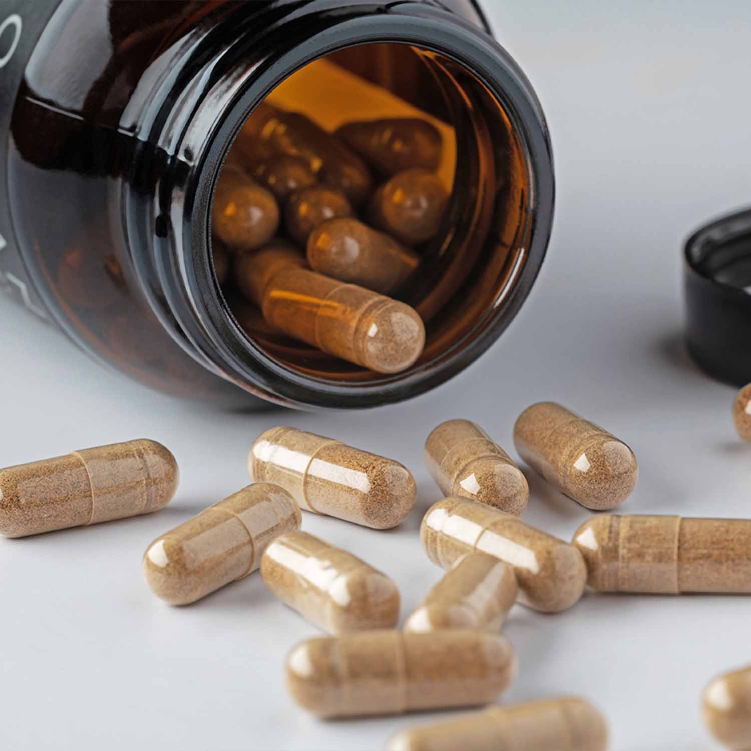 Kiki Health KIKI Health Organic Mushroom Extract 8 Multi Blend | 60 Capsules