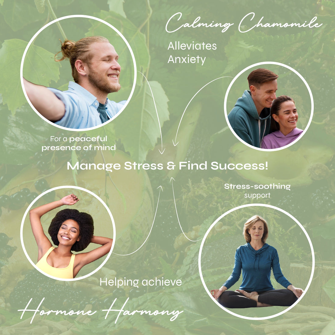 Known Nutrition Gummies Known Nutrition De-Stress Gummies | 60 Gummies