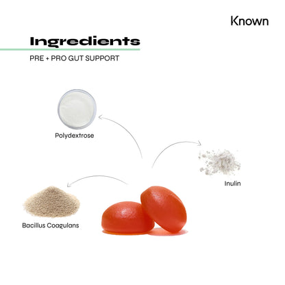 Known Nutrition Gummies Known Nutrition Pre+Pro Gut Support | 60 Gummies