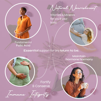 Known Nutrition Gummies Known Nutrition Pregnancy Support | 60 Gummies