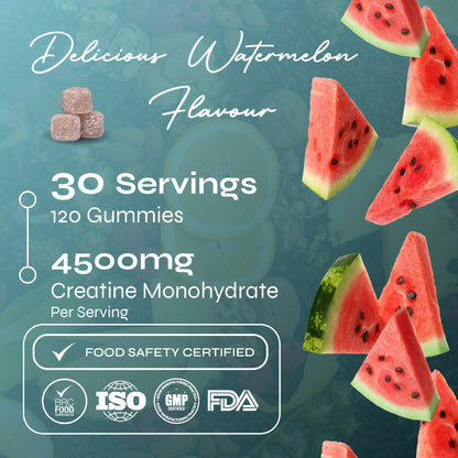 Known Nutrition Known Nutrition Creatine Gummies Pouch | 120 Gummies | Watermelon