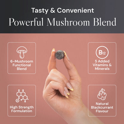 Known Nutrition Known Nutrition High Strength Multi Mushrooms Gummies | 60 Gummies