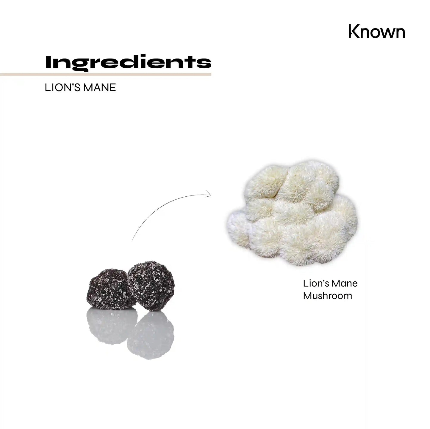 Known Nutrition Mentally Fit Known Nutrition Lion’s Mane Mushroom Gummies | 60 Gummies