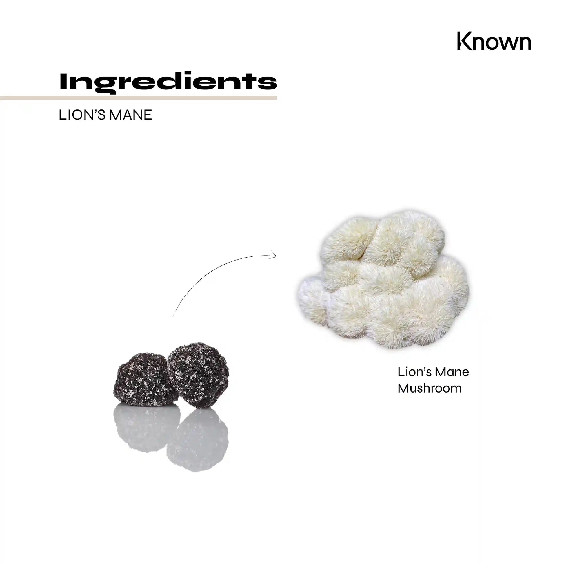 Known Nutrition Mentally Fit Known Nutrition Lion’s Mane Mushroom Gummies | 60 Gummies