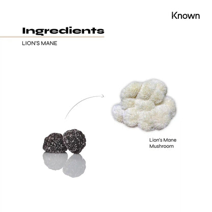 Known Nutrition Mentally Fit Known Nutrition Lion’s Mane Mushroom Gummies | 60 Gummies