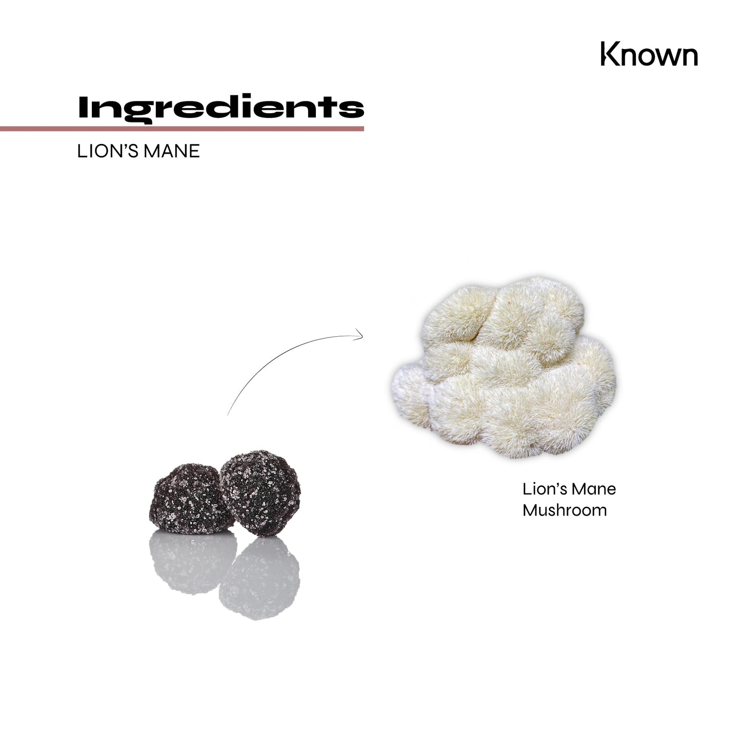 Known Nutrition Mentally Fit Known Nutrition Lion's Mane Plus Vegan Gummies