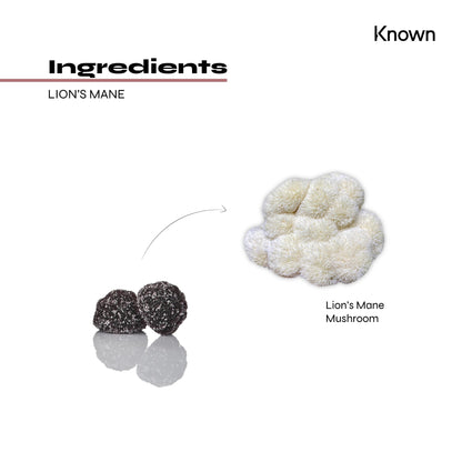Known Nutrition Mentally Fit Known Nutrition Lion's Mane Plus Vegan Gummies