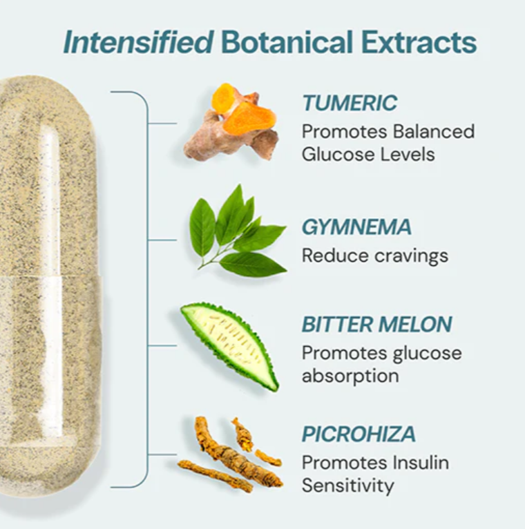 Oceans Alive Curalin Advanced Glucose Support | 180 Capsules