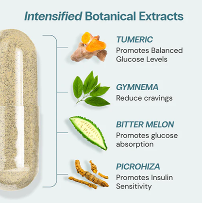 Oceans Alive Curalin Advanced Glucose Support | 180 Capsules