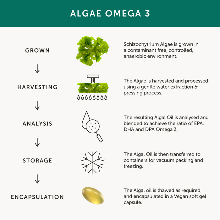 Together Health Together Health Algae Omega 3 | 60 Capsules