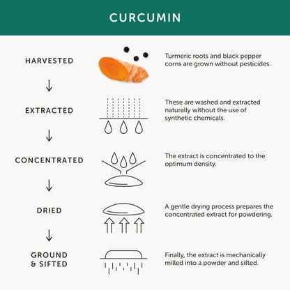 Together Health Together Health Curcumin & Turmeric Complex | 30 Capsules