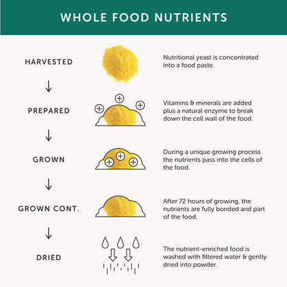 Together Health Together Health Gentle Iron Vitamin & Mineral Complex | 30 Capsules