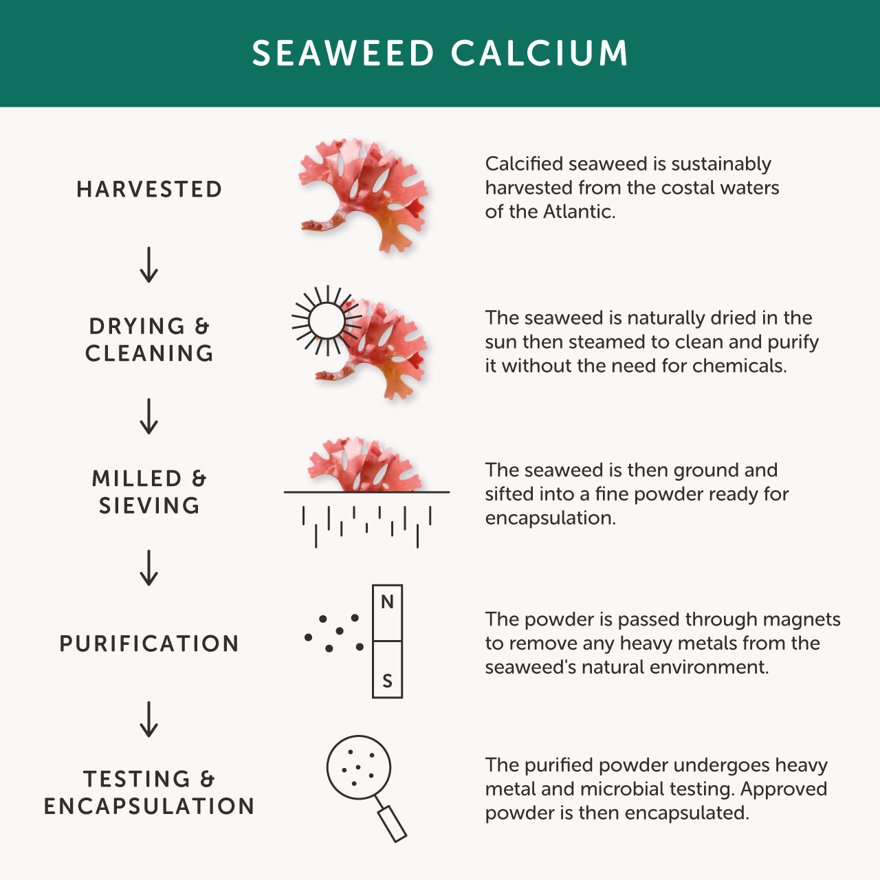 Together Health Together Health Marine Calcium | 60 Capsules