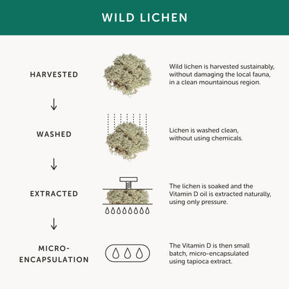 Together Health Together Health Men’s Multi Vit & Mineral | 30 Capsules