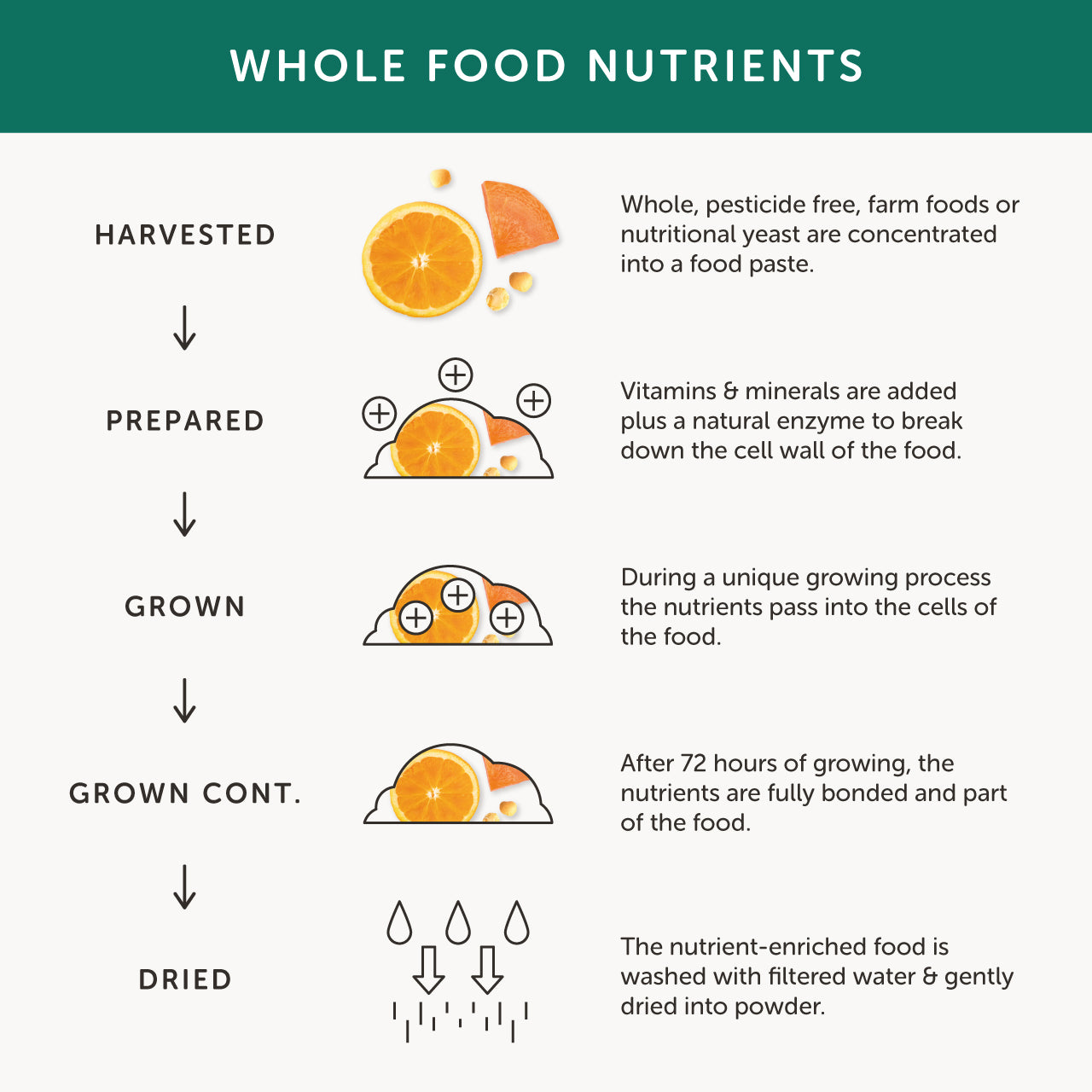 Together Health Together Health Men’s Multi Vit & Mineral | 30 Capsules