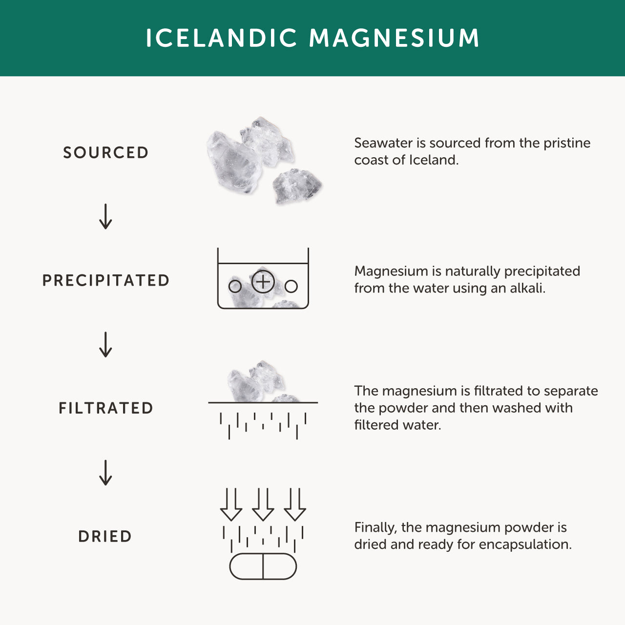 Together Health Together Health Men’s Multi Vit & Mineral | 30 Capsules