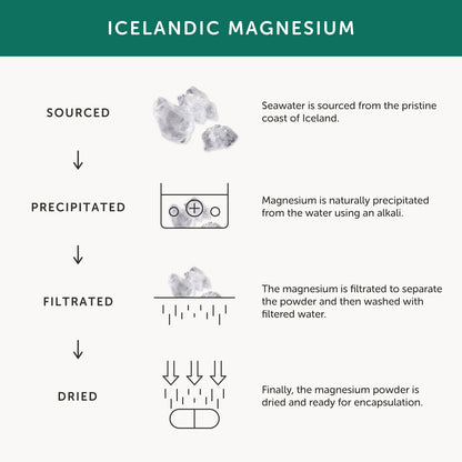 Together Health Together Health Men’s Multi Vit & Mineral | 30 Capsules