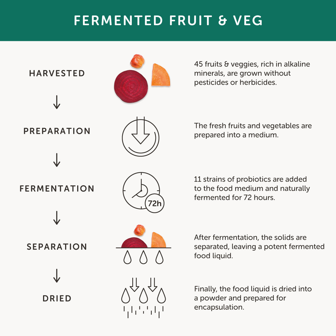 Together Health Together Health Multibiotic Fermented Food | 30 Capsules