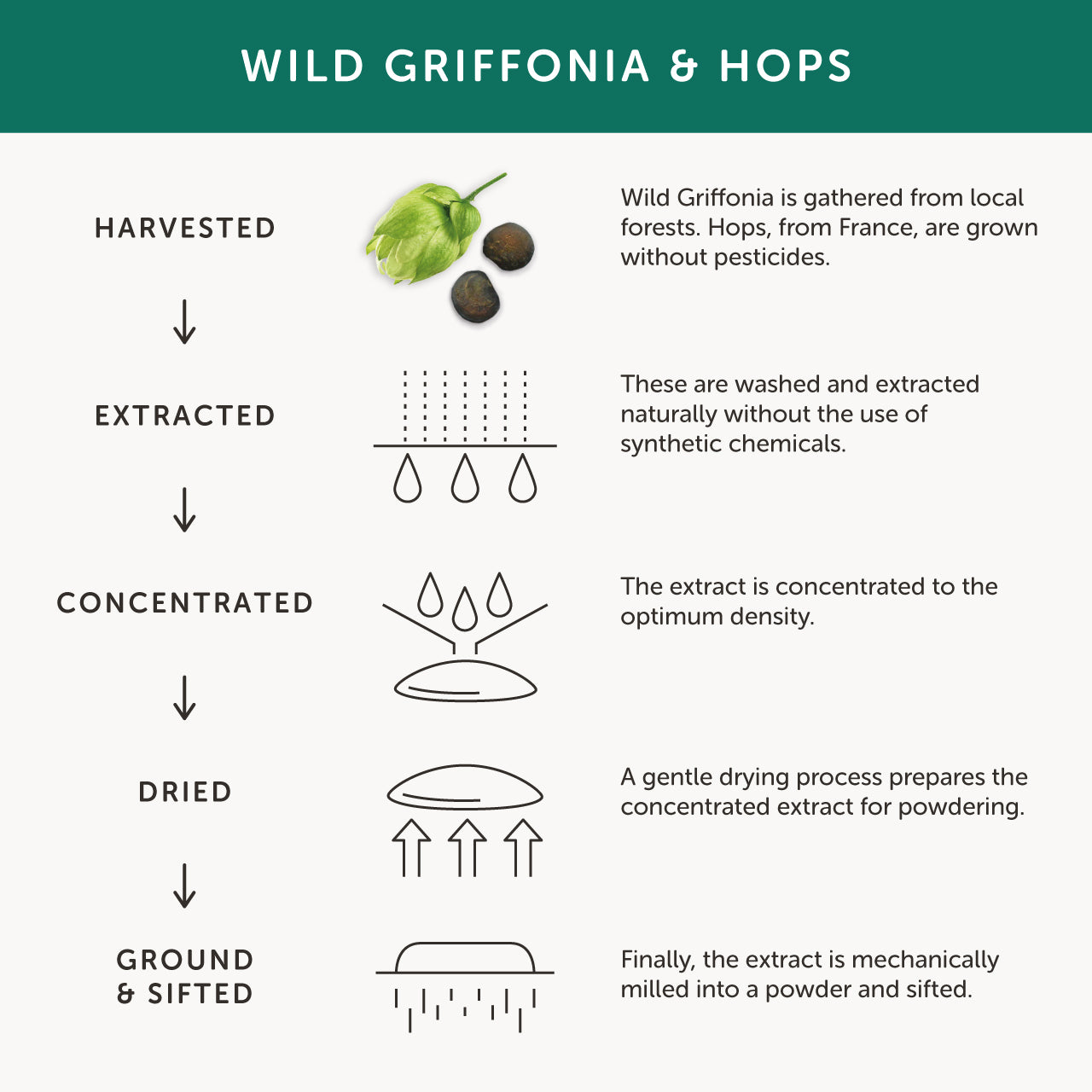 Together Health Together Health Night Time Complex | 60 Capsules