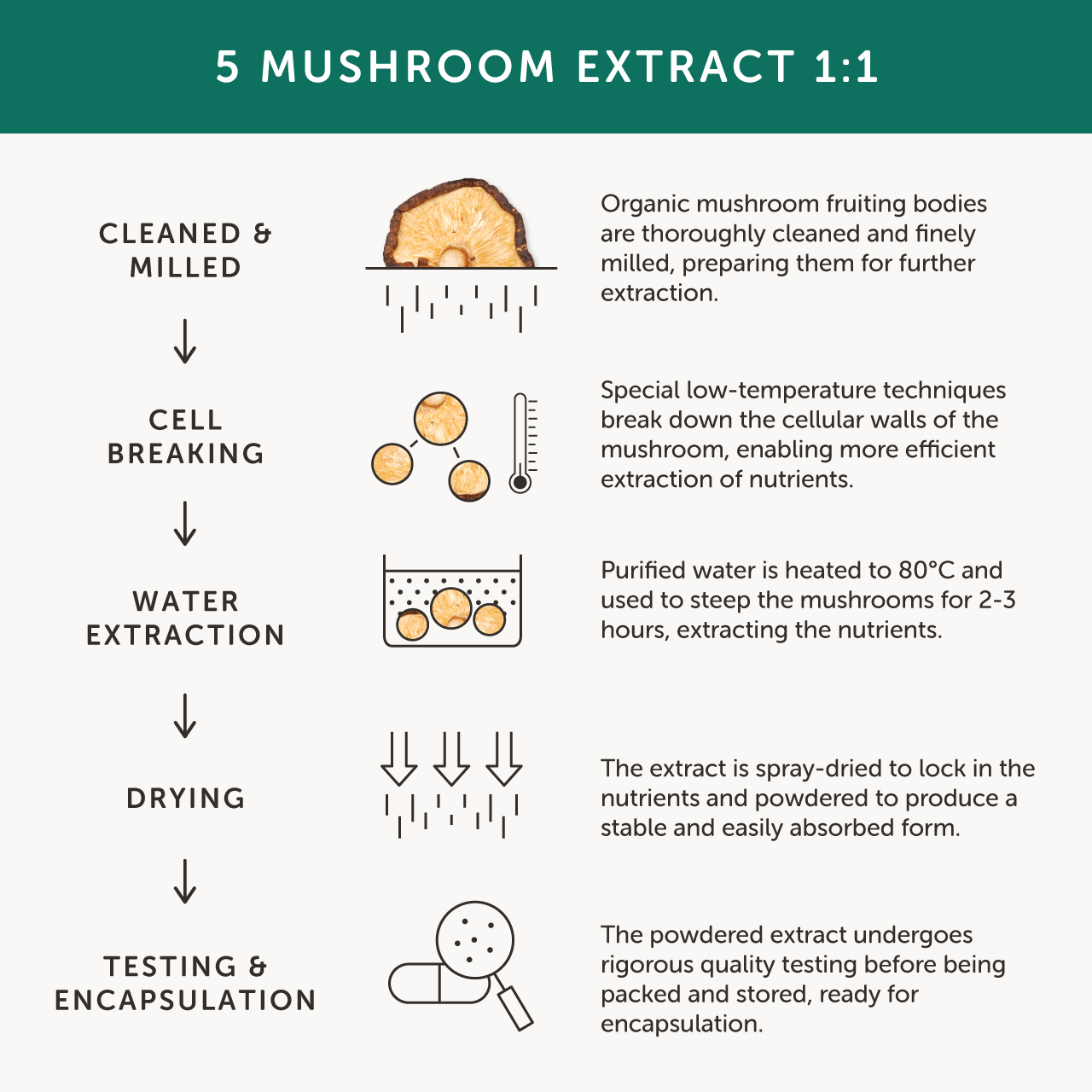 Together Health Together Health Organic 5 Mushroom Complex | 60 Capsules