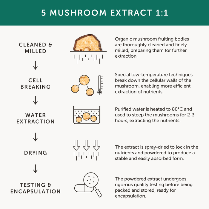 Together Health Together Health Organic 5 Mushroom Complex | 60 Capsules