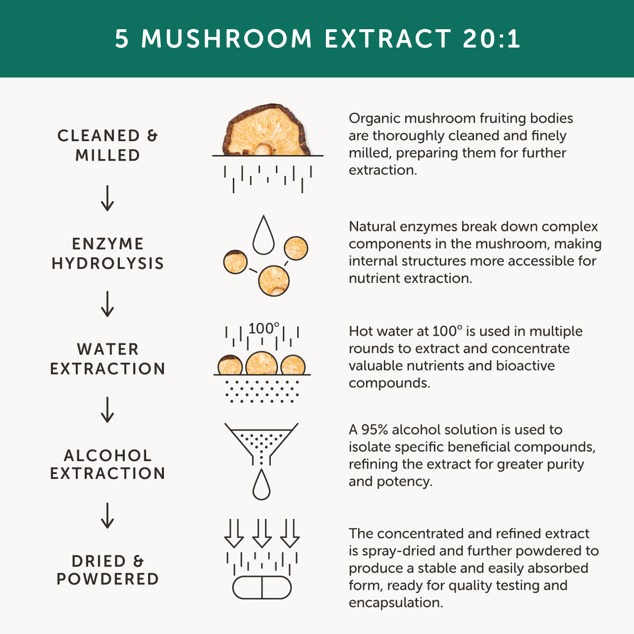 Together Health Together Health Organic 5 Mushroom Complex | 60 Capsules