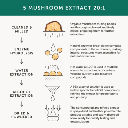 Together Health Together Health Organic 5 Mushroom Complex | 60 Capsules