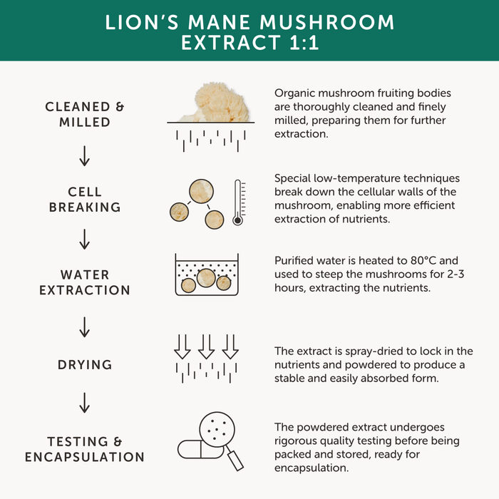 Together Health Together Health Organic Lion's Mane Mushroom | 60 Capsules