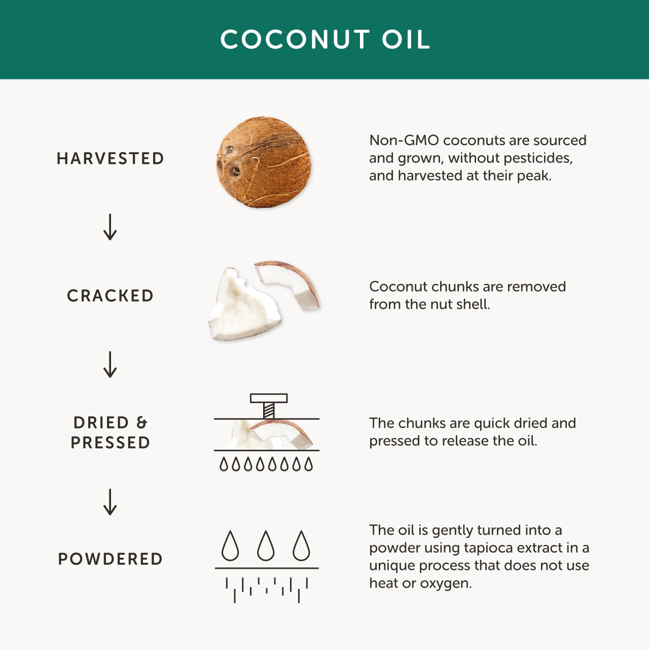 Together Health Together Health Vegan Vitamin D3  | 30 Capsules