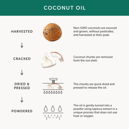 Together Health Together Health Vegan Vitamin D3  | 30 Capsules