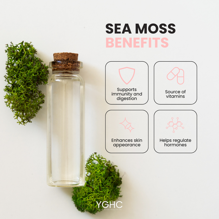 Your Good Health Company Your Good Health Company Sea Moss | 90 Capsules