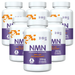 NMN Bio NMN Bio NMN (Beta-Nikotinamid-Mononukleotid) 250 mg | 30 Kapseln x6 | 6er-Pack-Bundle